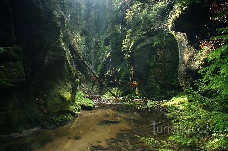 Křinice sous la Porte Noire : les gorges de Křinice