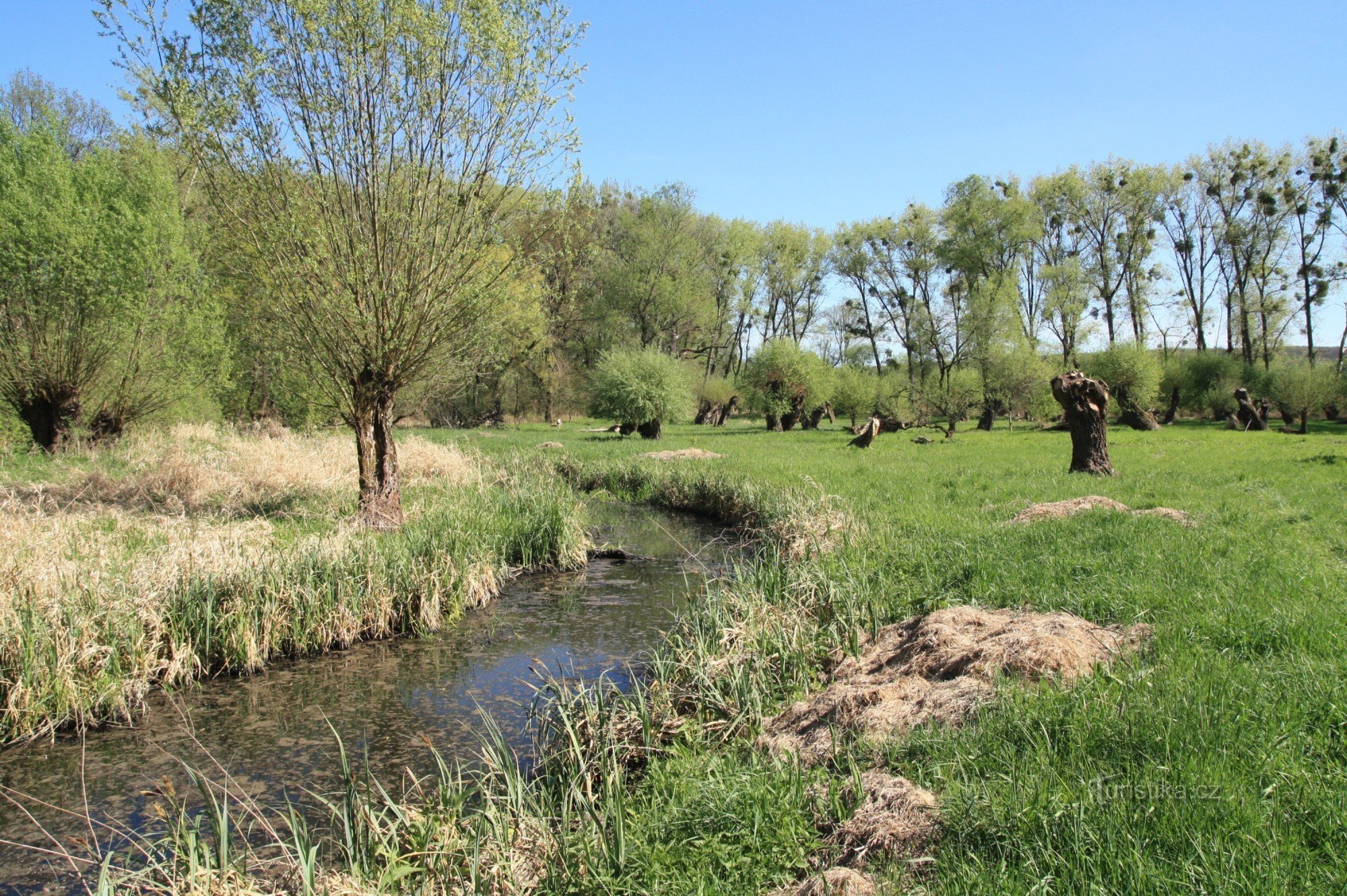 Křivé jezero - národní přírodní rezervace