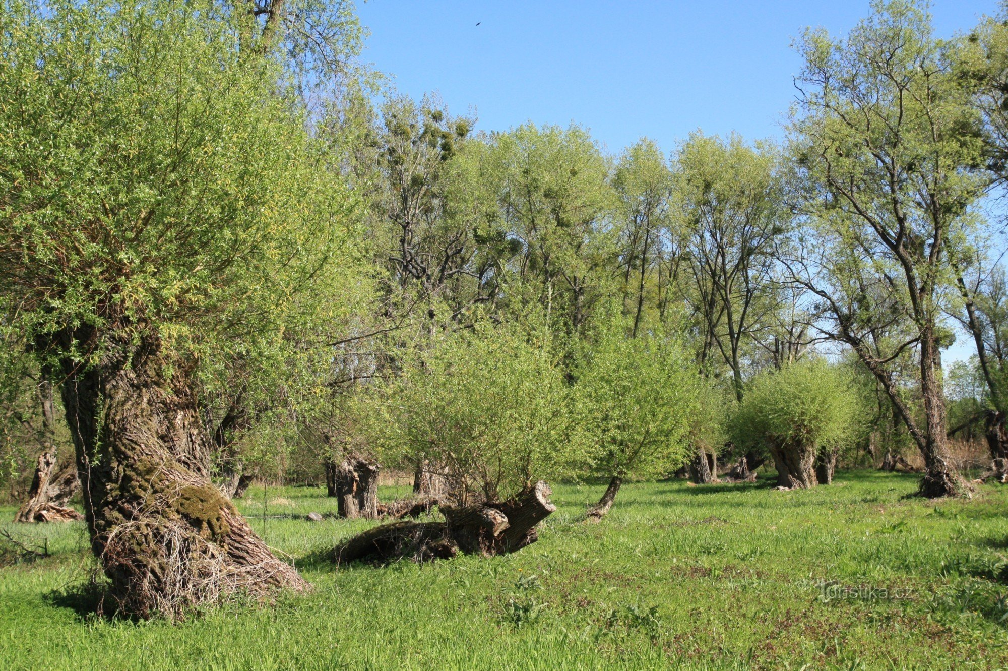 Crooked Lake - Nationaal natuurreservaat