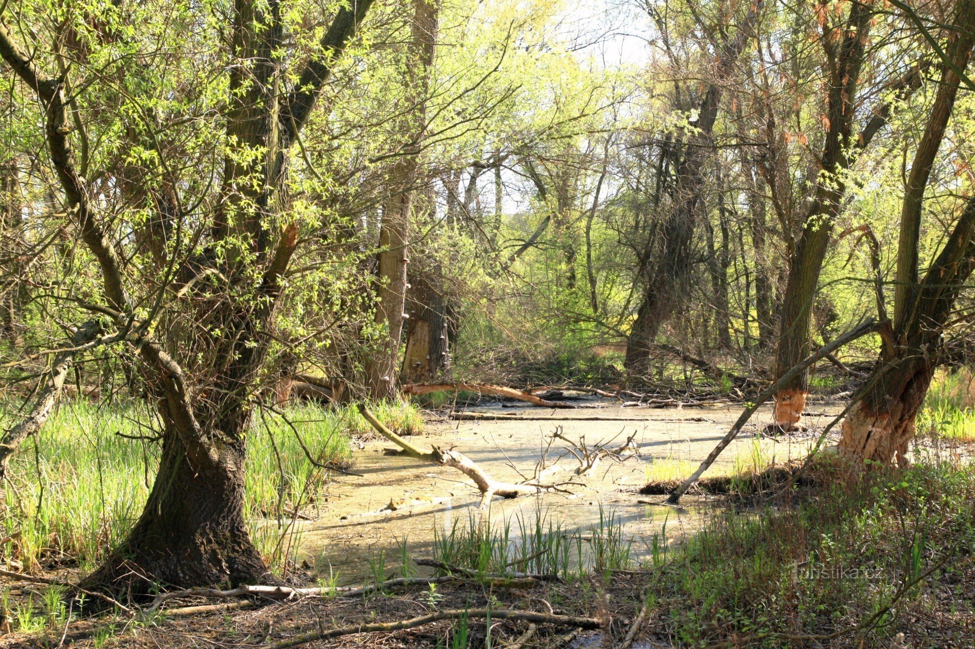 Crooked Lake - National Nature Reserve