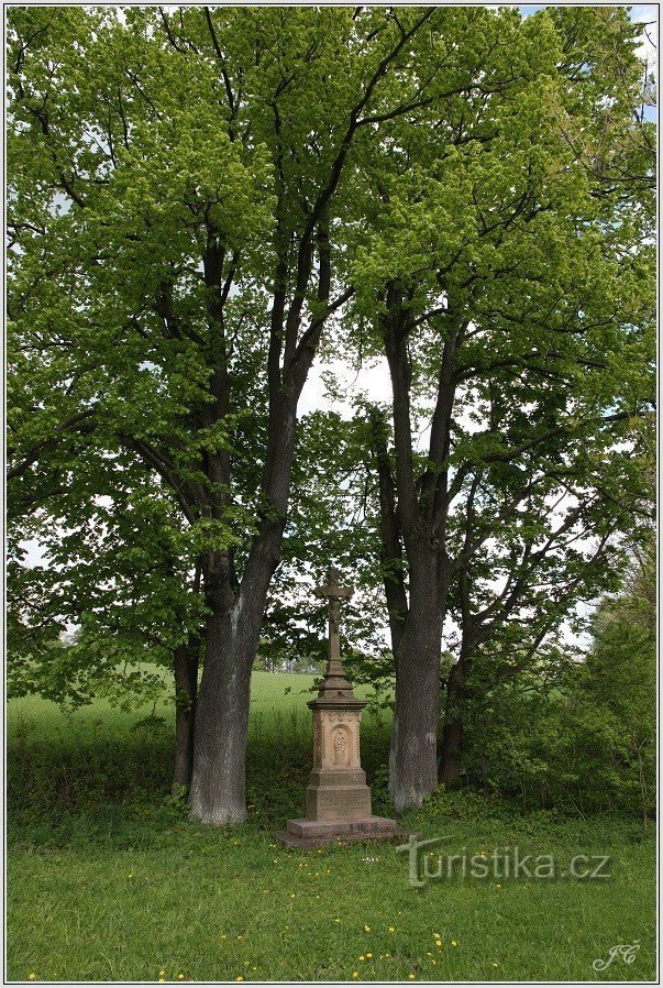 Kříž nad Babím nr. 1 met bomen