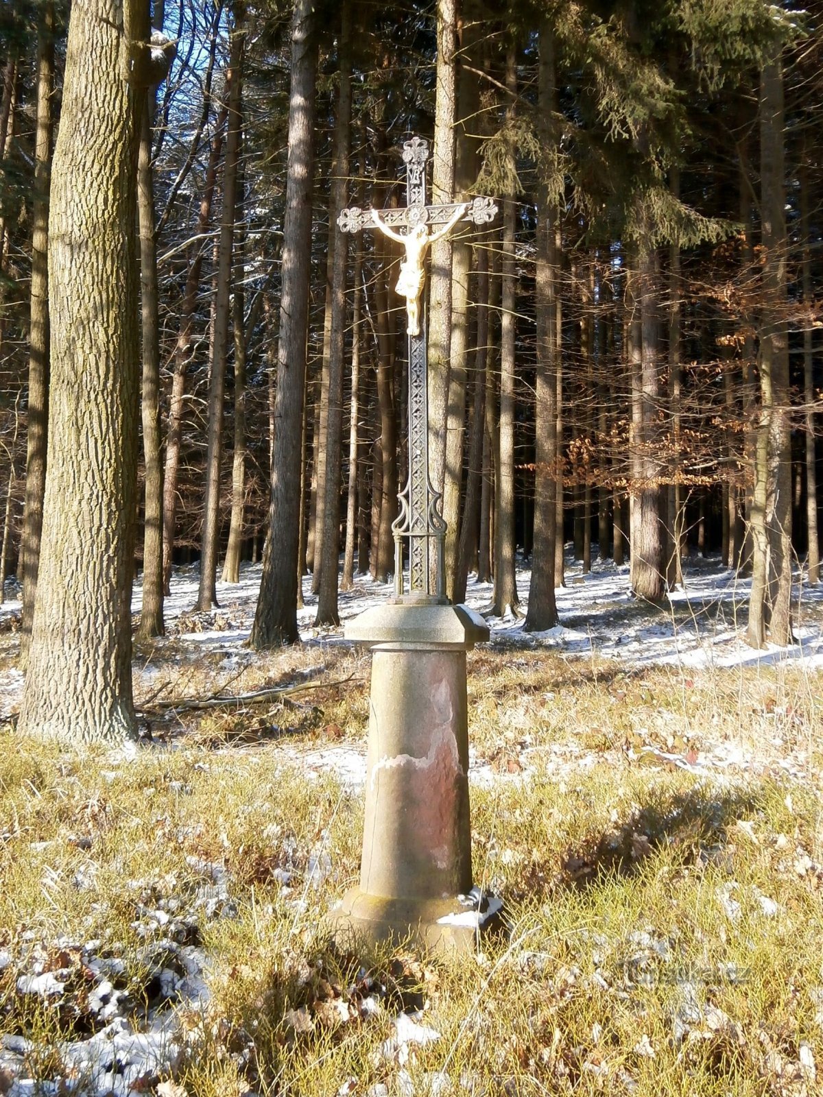 Cross in the woods at No. 47 (Proruby, 18.1.2016)