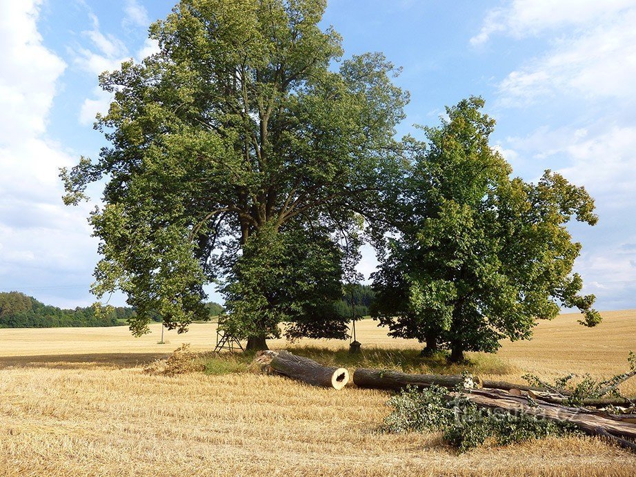 Cruz en el campo cerca de Libice nad Doubravau