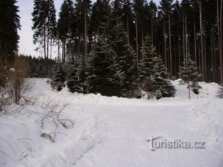 Перехід Під Серпантином: Вид зі стежки на Високий Камінь