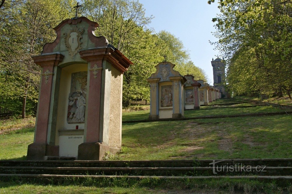 Via Sacra ao Monte da Cruz