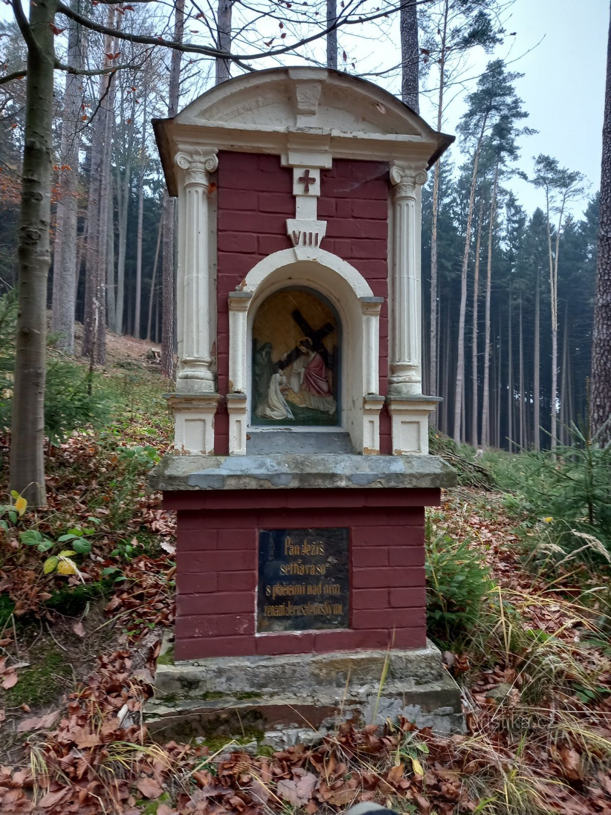 Via Crucis di Přypychy - ottava tappa