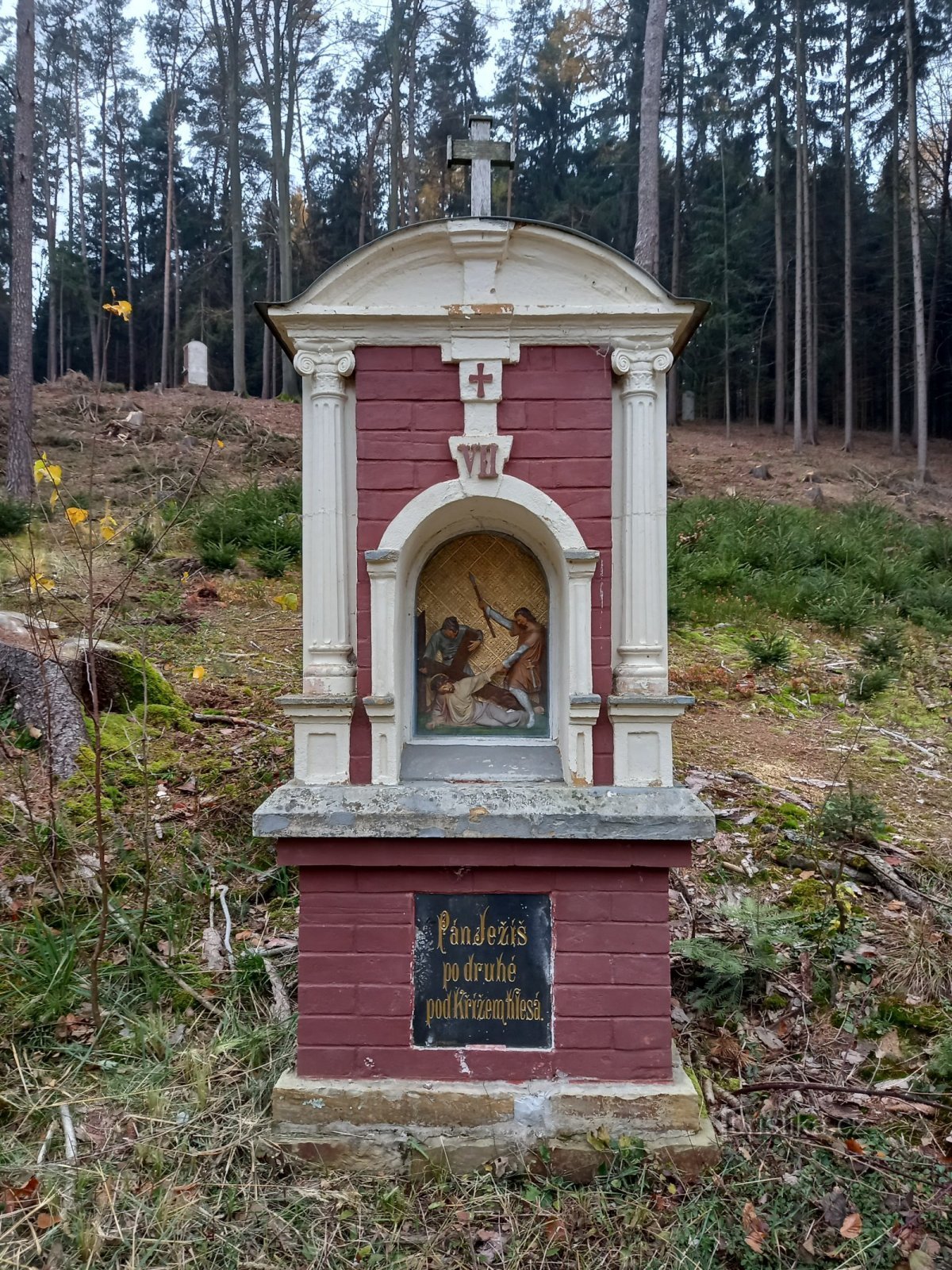 La Via Crucis di Prépychy - settima tappa