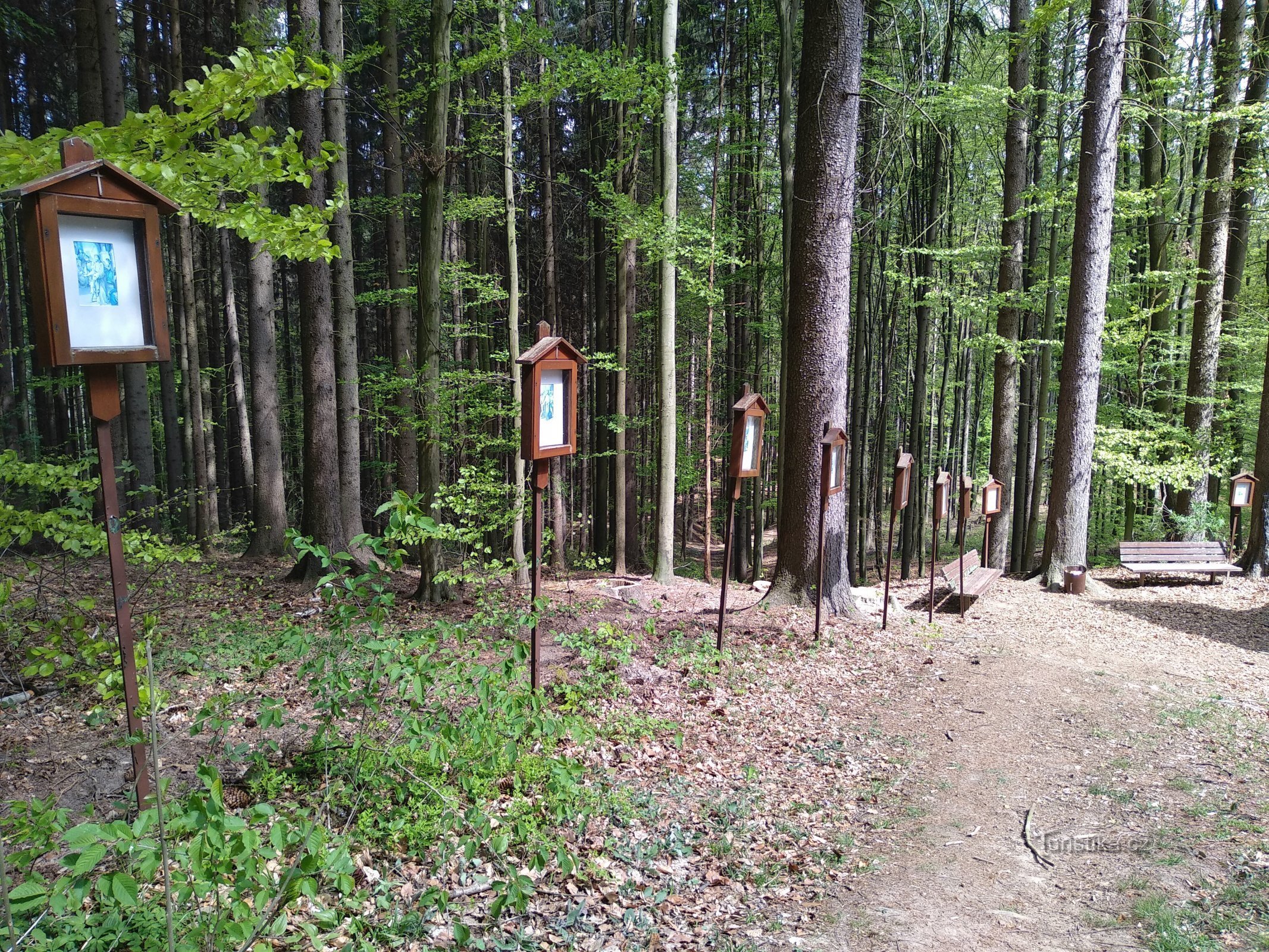 Stations of the Cross at the chapel