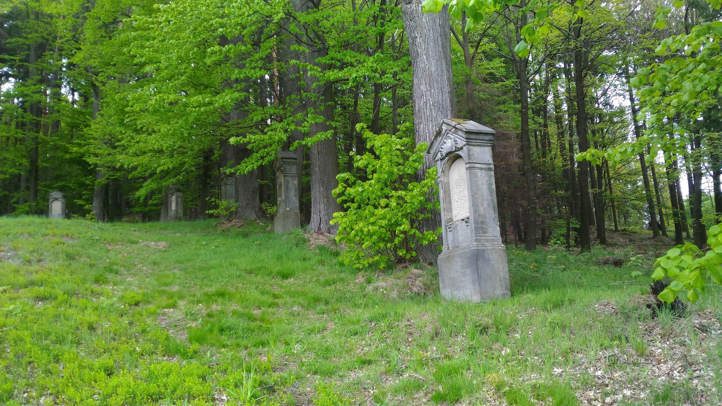 Via Crucis Velký Šenov.