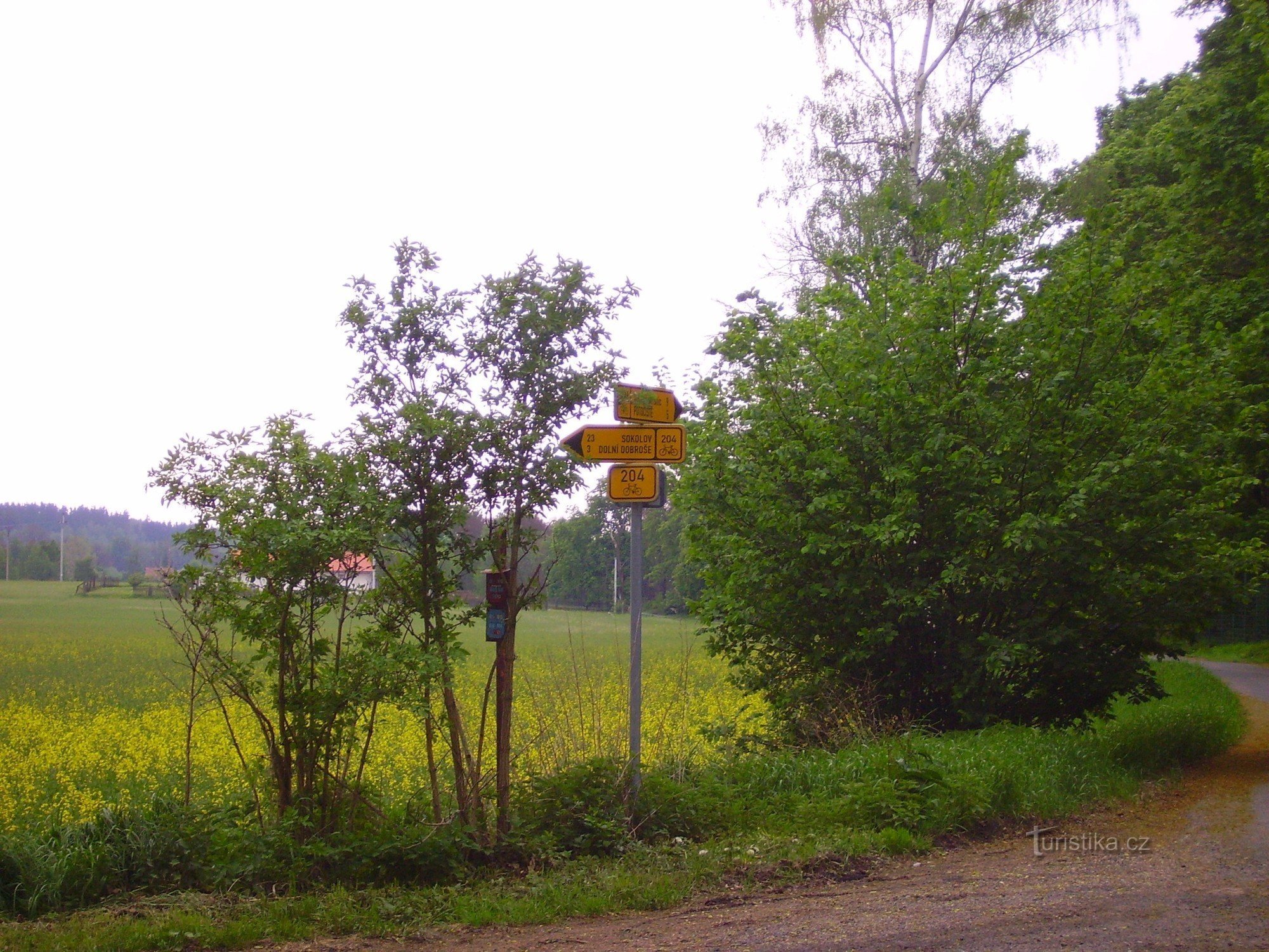 cruce de rutas ciclistas