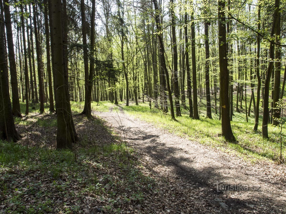 Korsvej under slottet