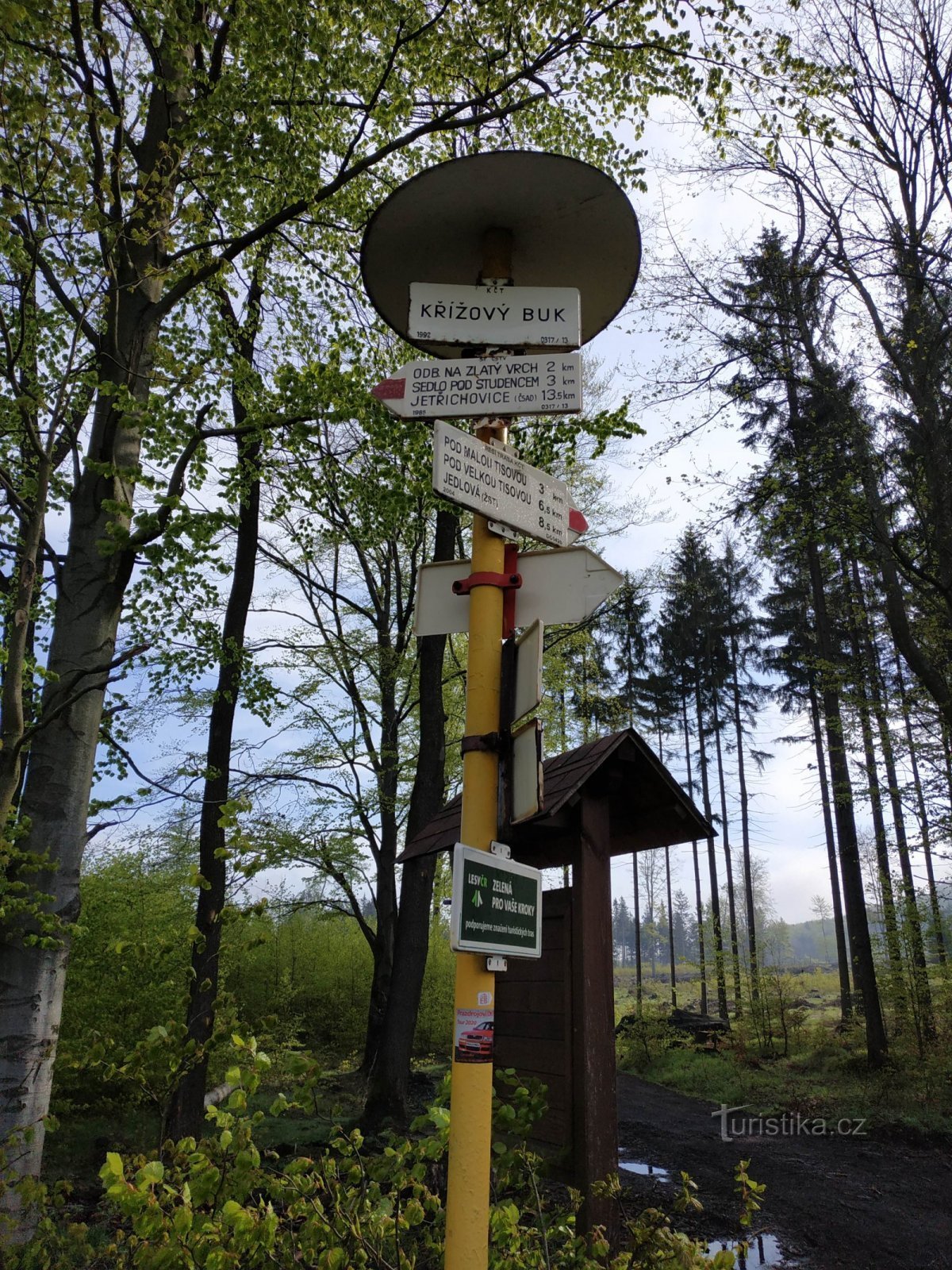 Křížový Buk - Sedlo pod Studenec - επιφυλακή Studenec - Studený - Pavlína údolí