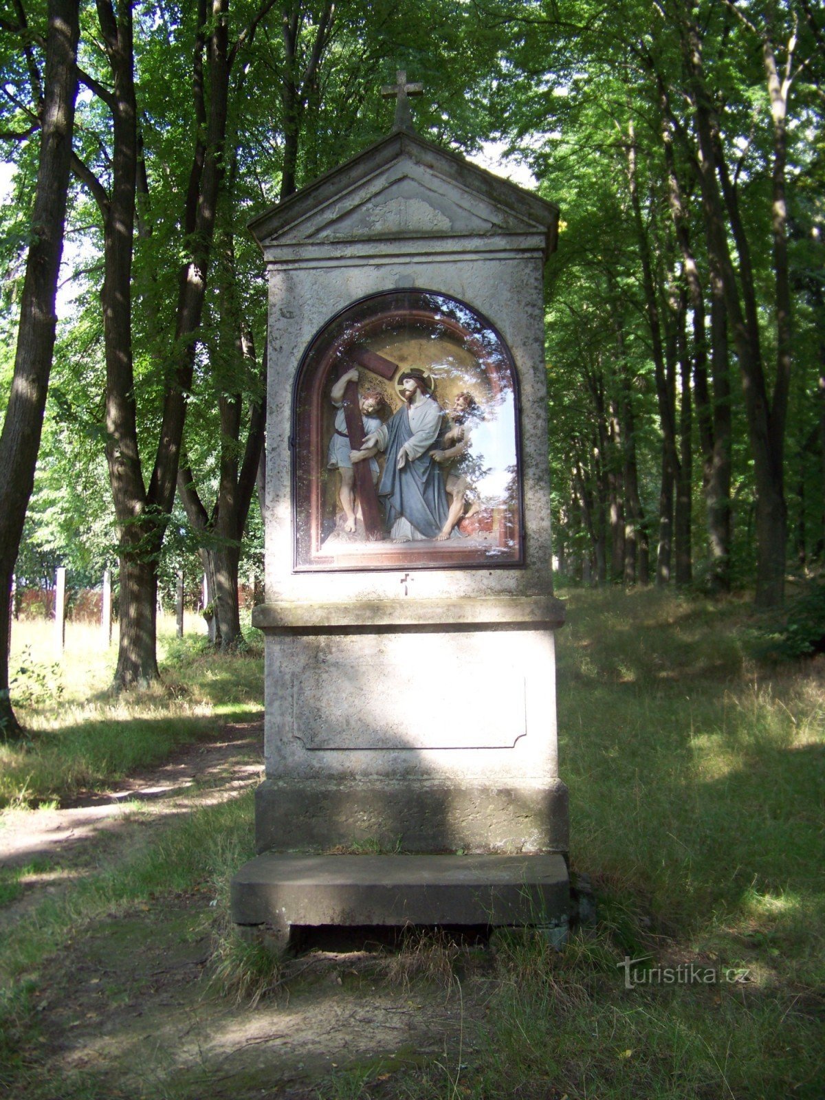 Křížový vrch near Cvikov 2008