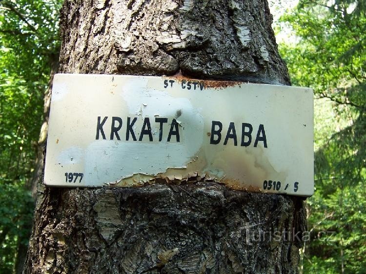 кучерява жінка