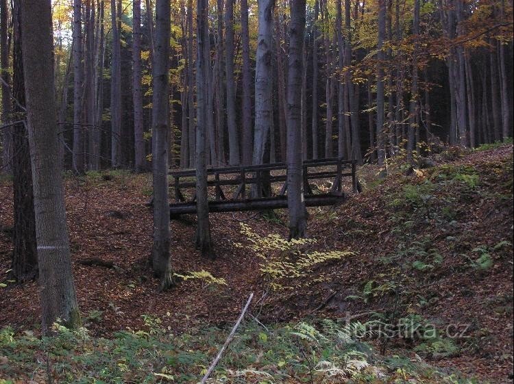 Krkavec: Footbridge at Valšovické jezírek