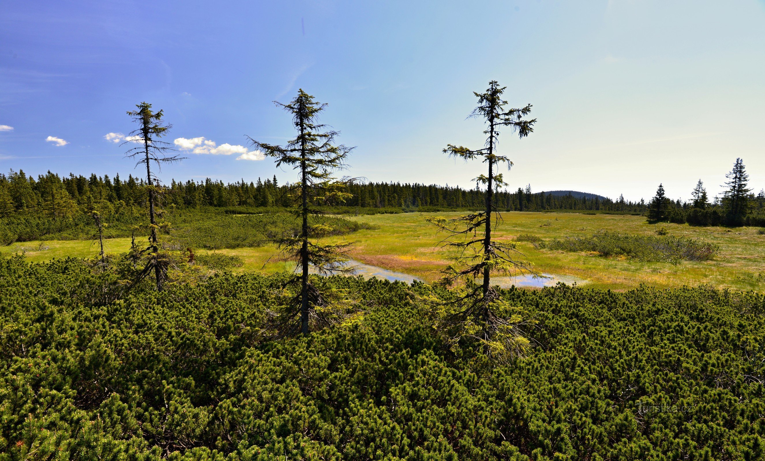 Karkonosze: torfowiska Black Mountain z wieży widokowej