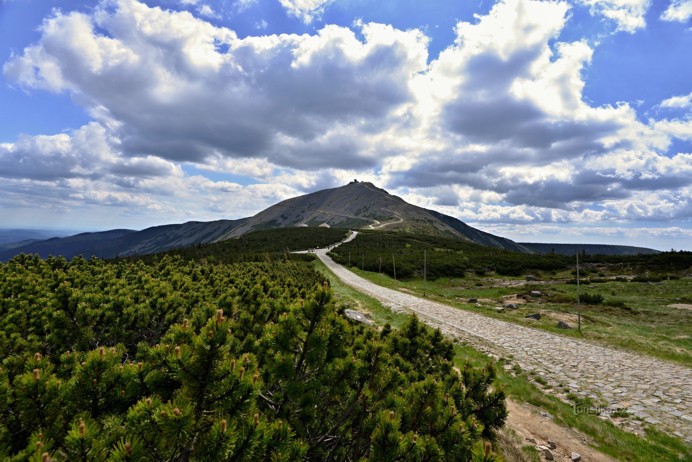 Krkonošebergen: Sněžka från väster