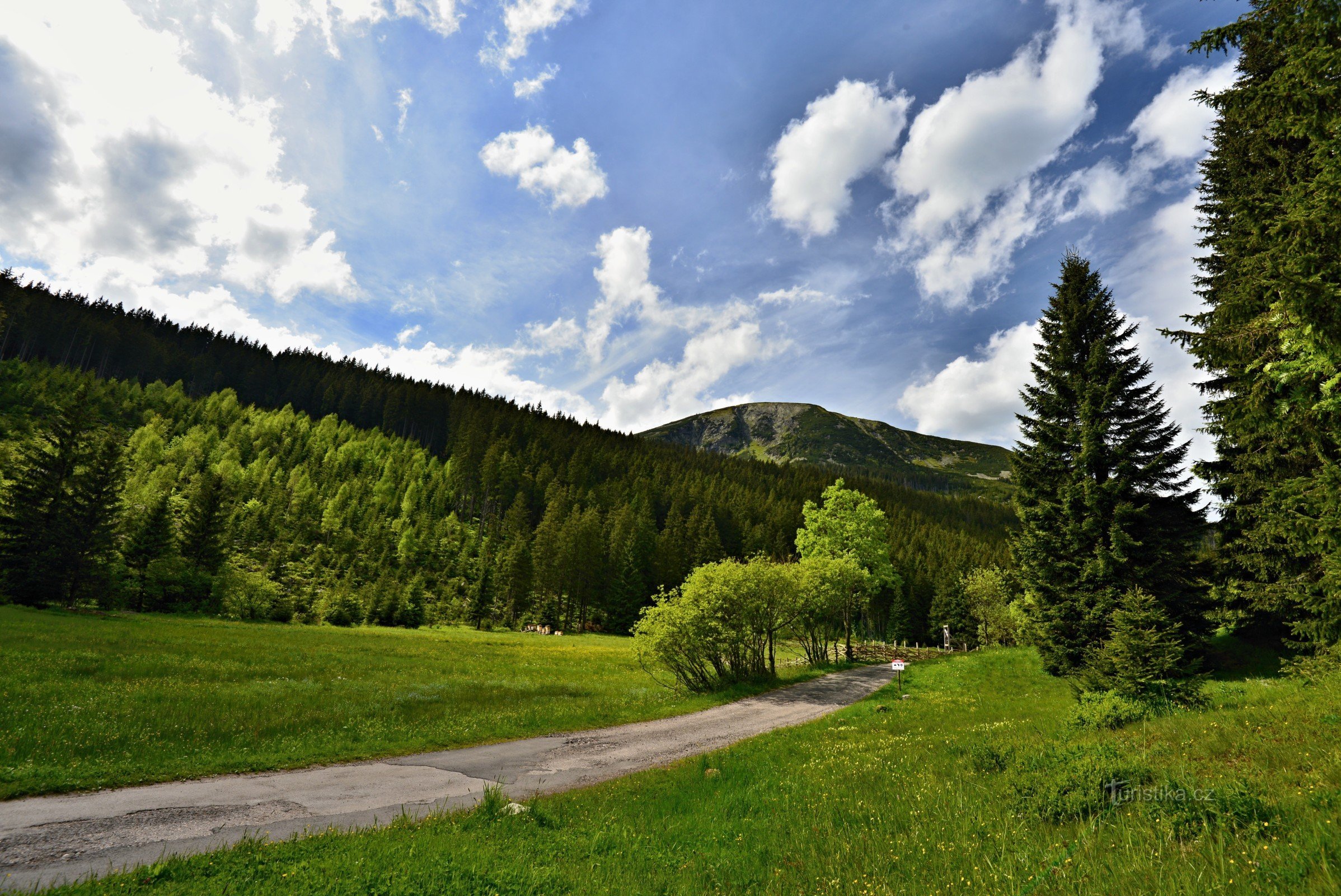 Dãy núi khổng lồ: Studniční hora từ Bouda ở Obří dole