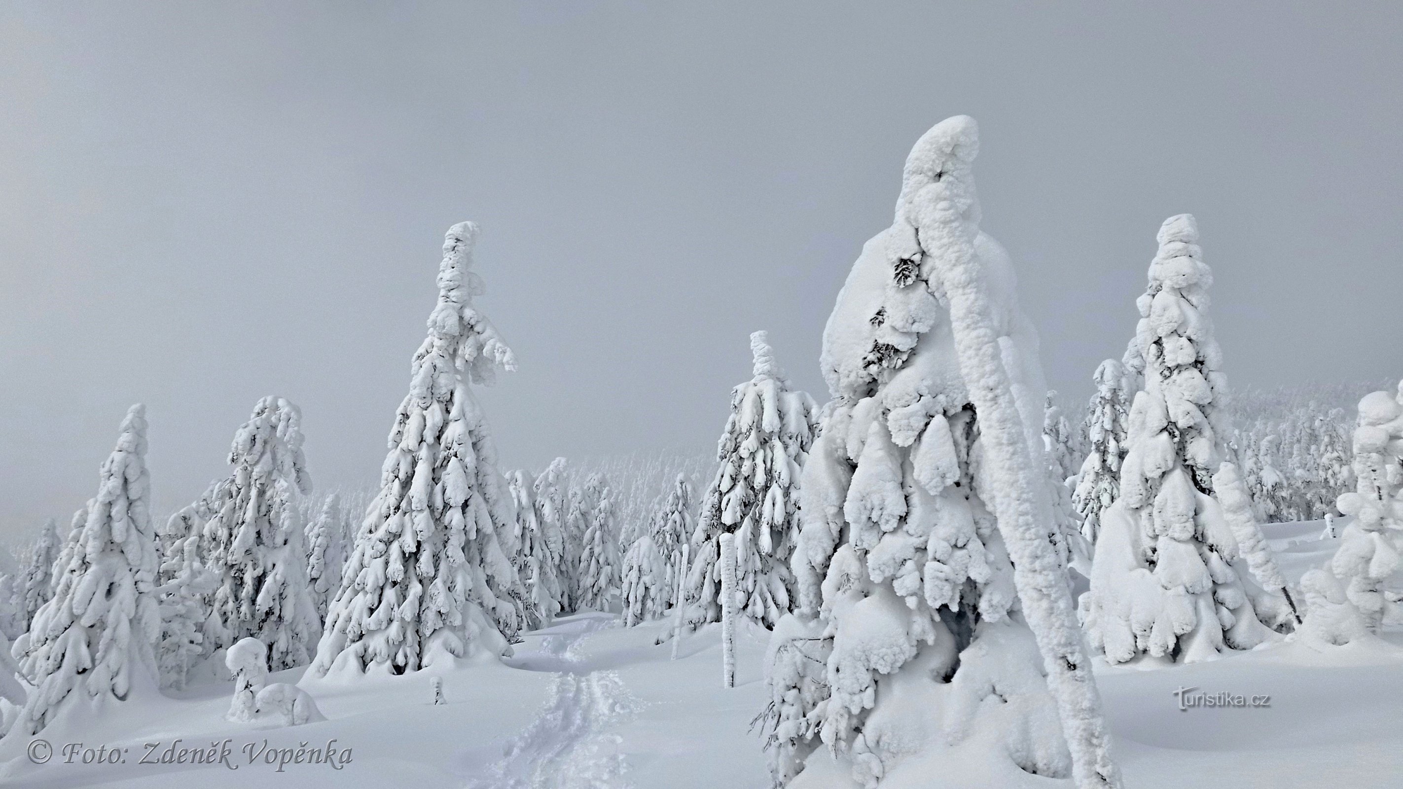 Montagnes géantes en hiver.