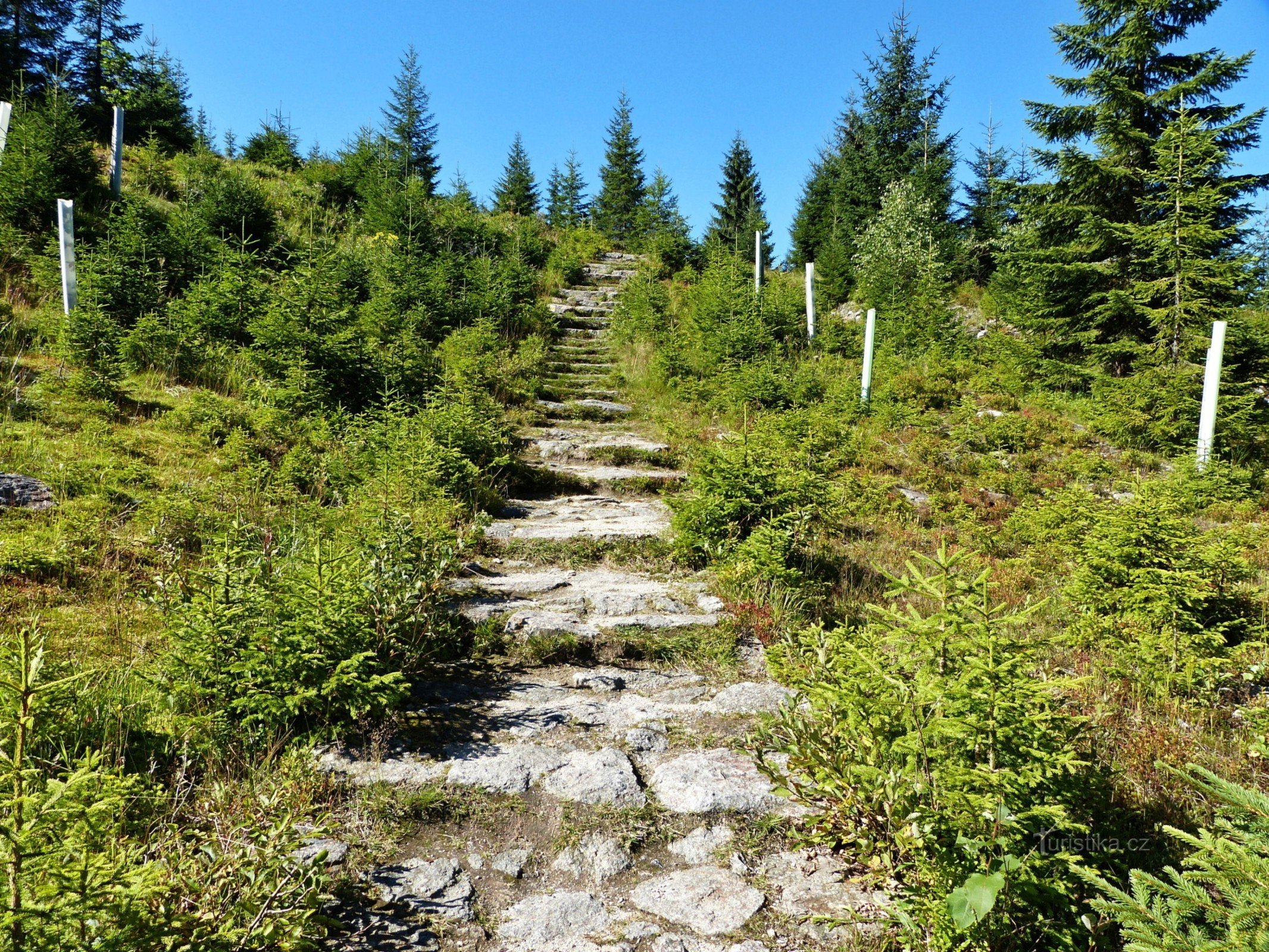 Parque Nacional Krkonoše - alrededores de las cascadas de Harrachov y Mumlavské