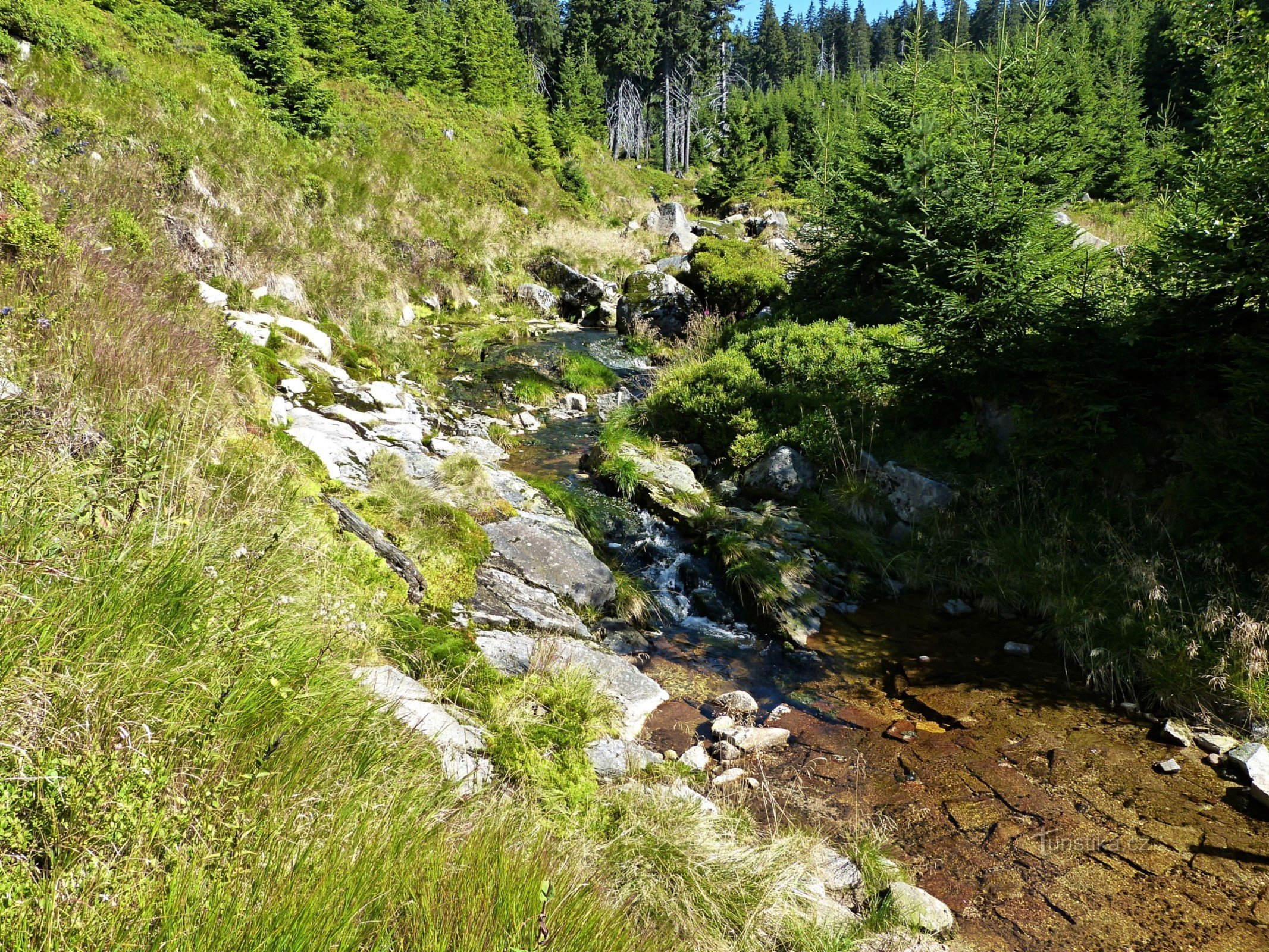 Krkonoše National Park - omgivelserne af vandfaldene Harrachov og Mumlavské