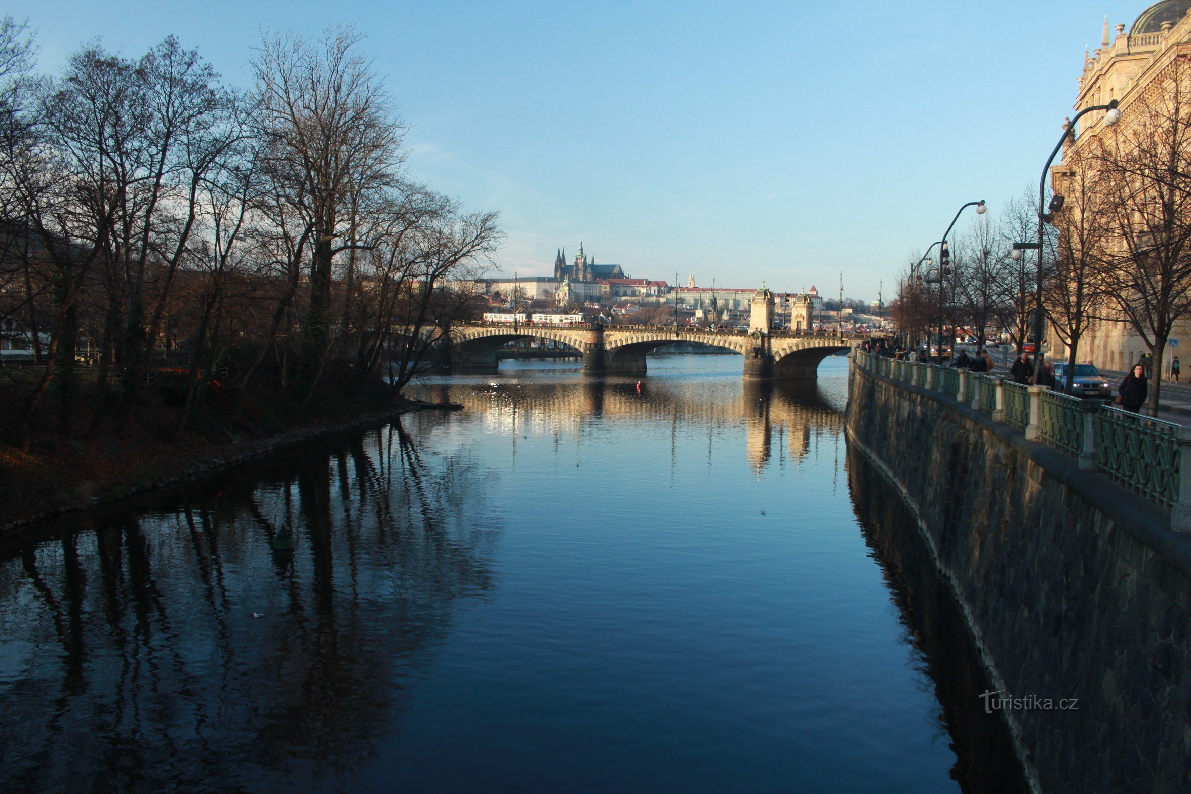 Feeding swans, ducks and seagulls on the banks of the Vltava