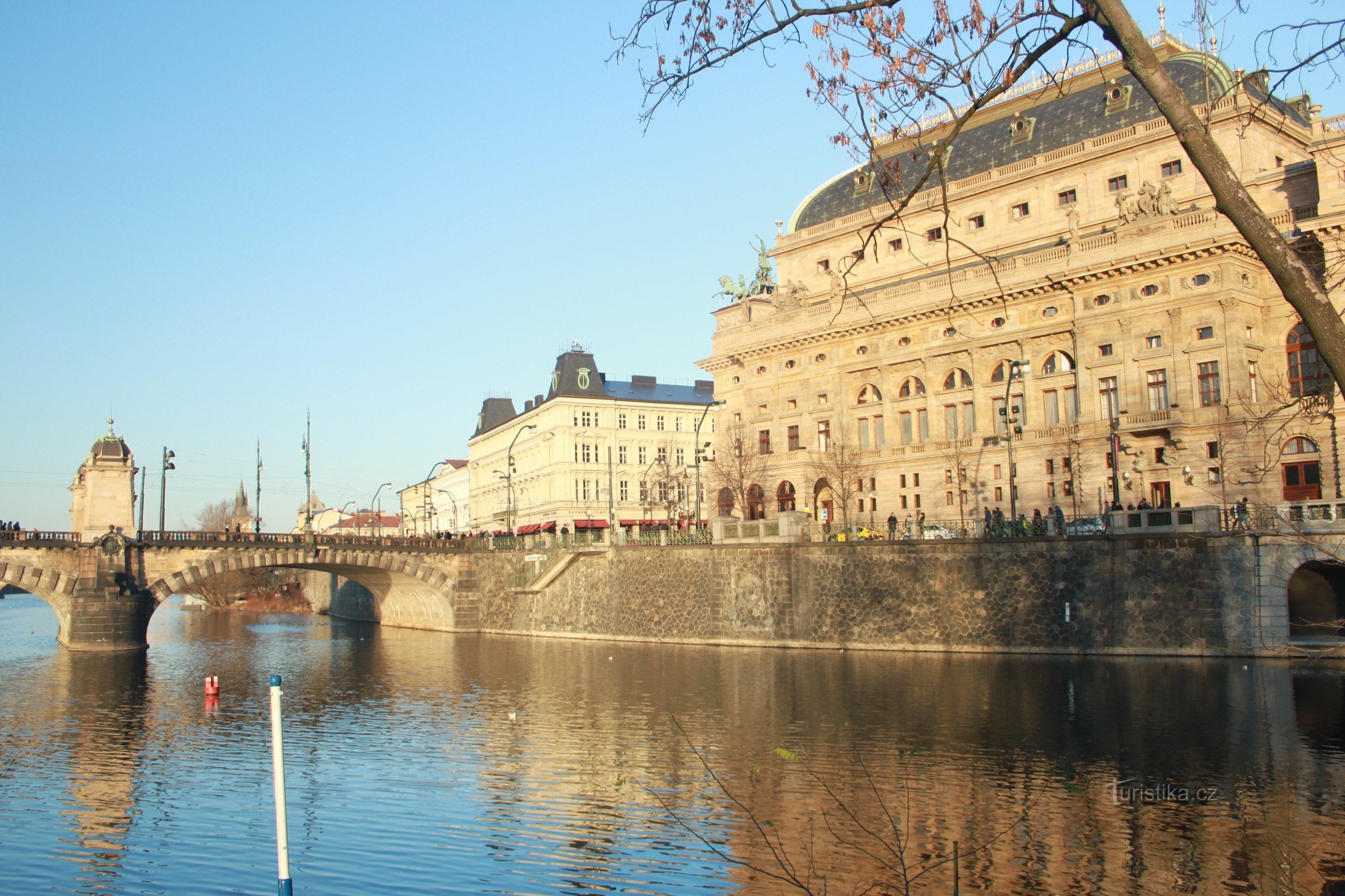 Feeding swans, ducks and seagulls on the banks of the Vltava