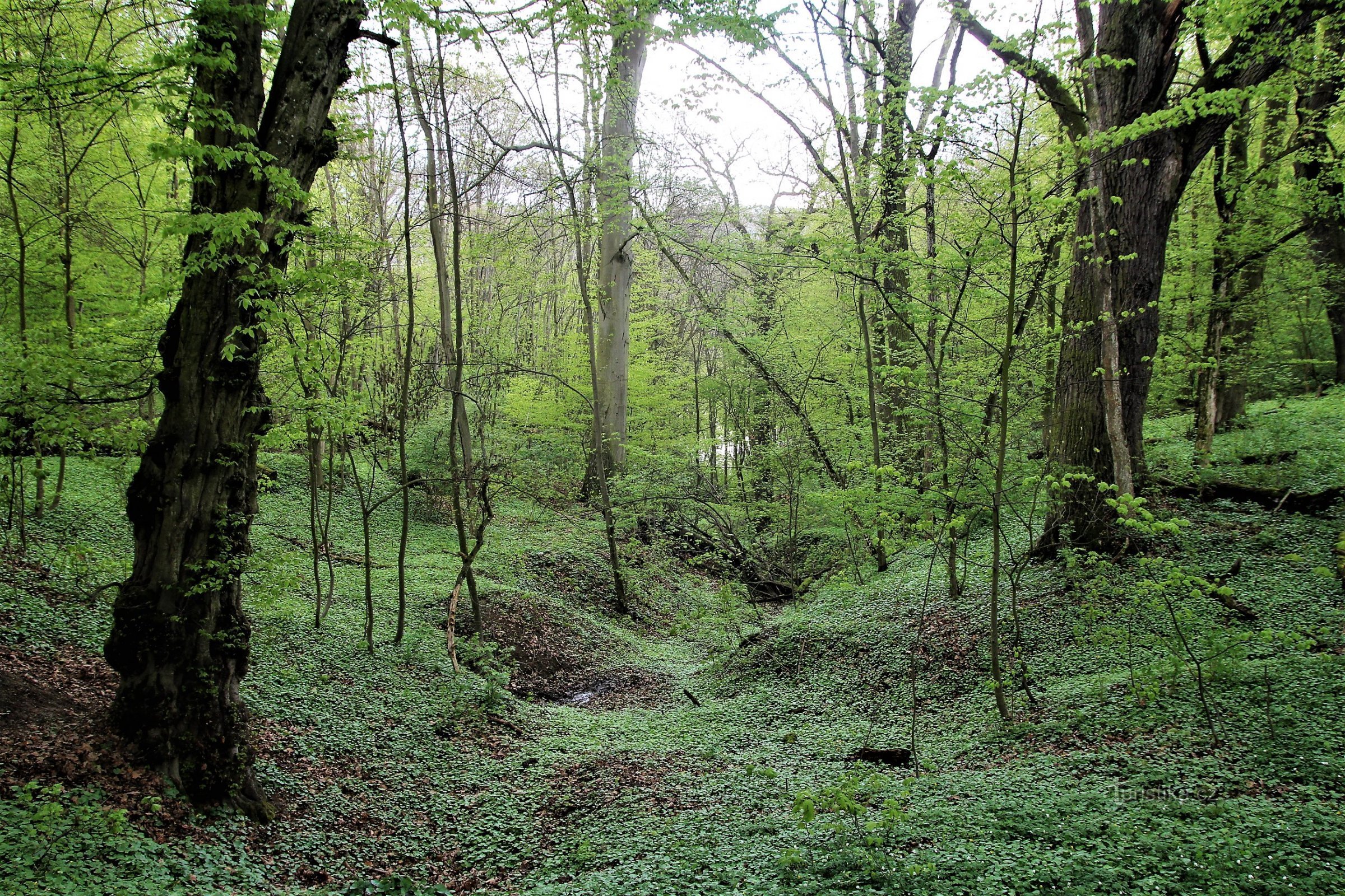 Krnovec - Naturschutzgebiet