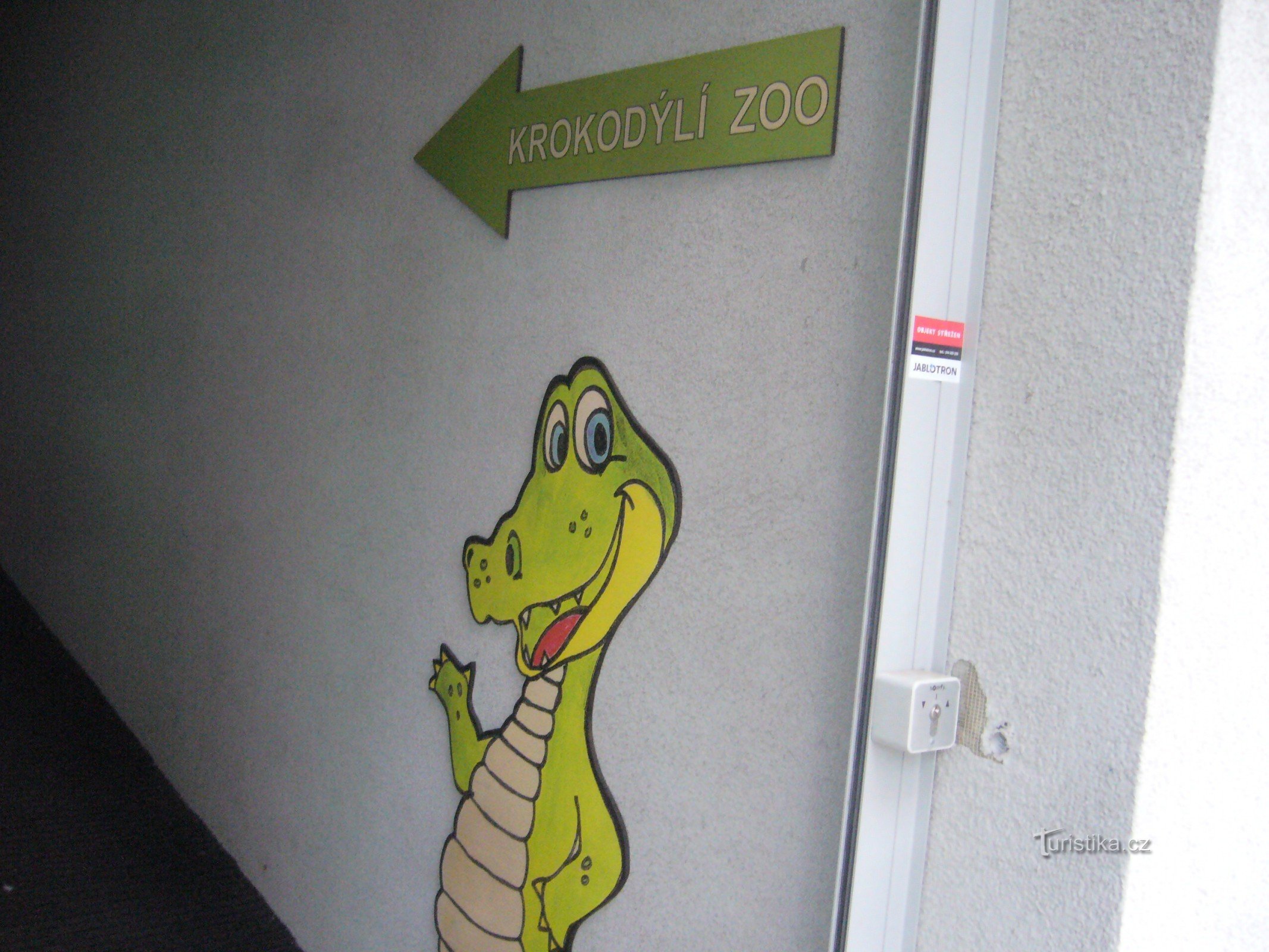 Zoo crocodiles