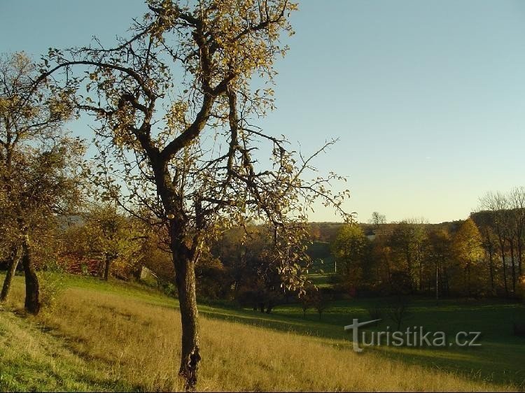 Kroušovy : Vue depuis Sovadina