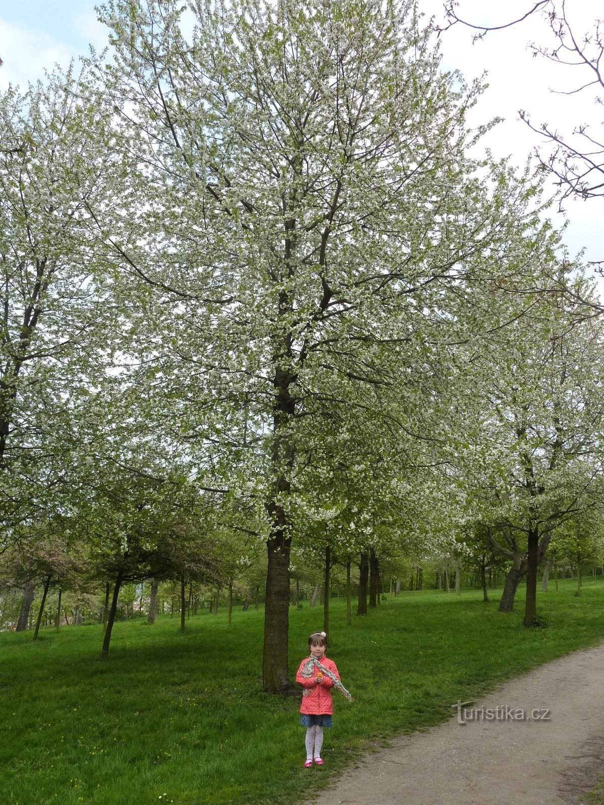 Nous tournons autour de Petřín