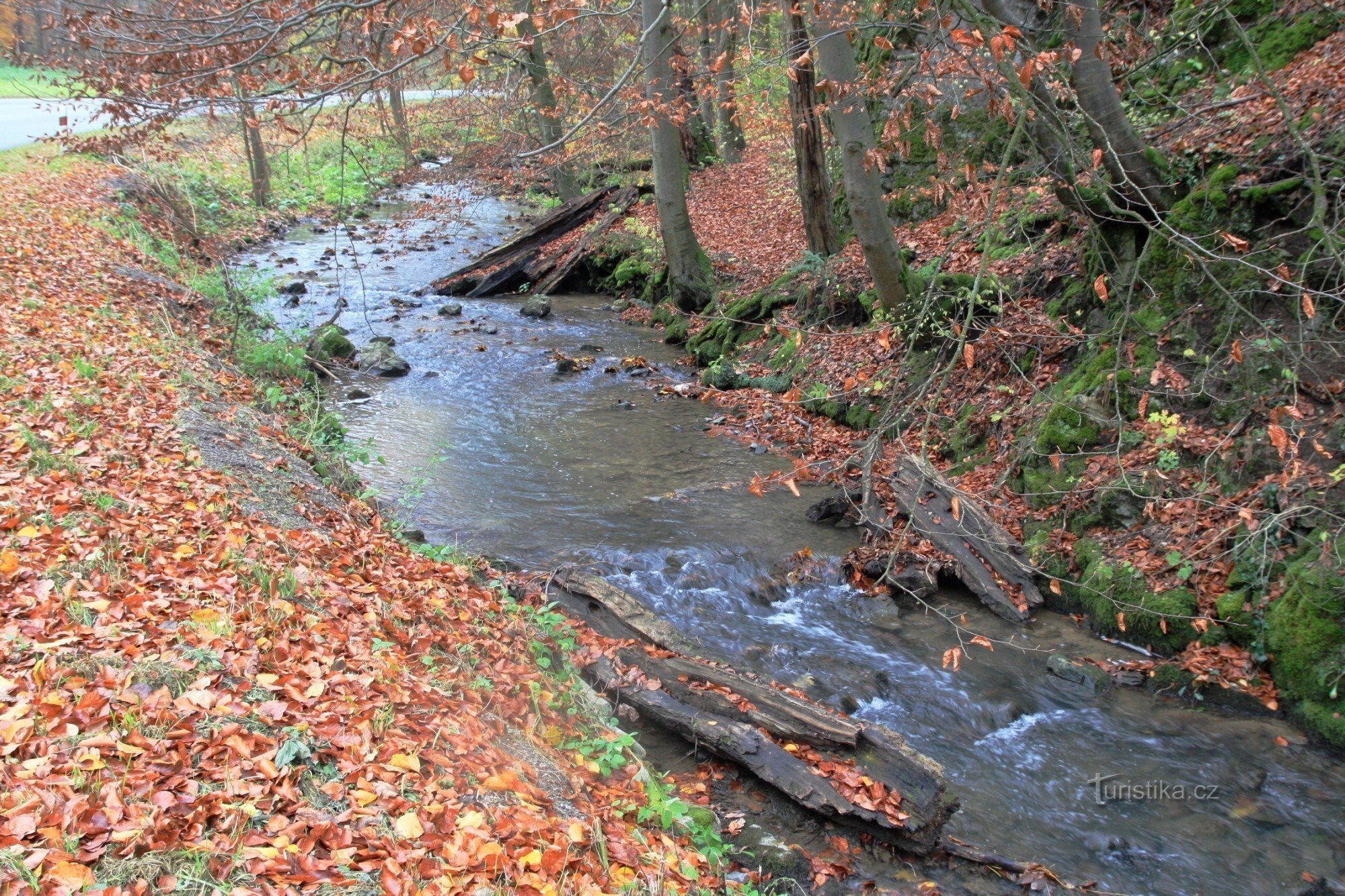 Křtinský stream near Althamr