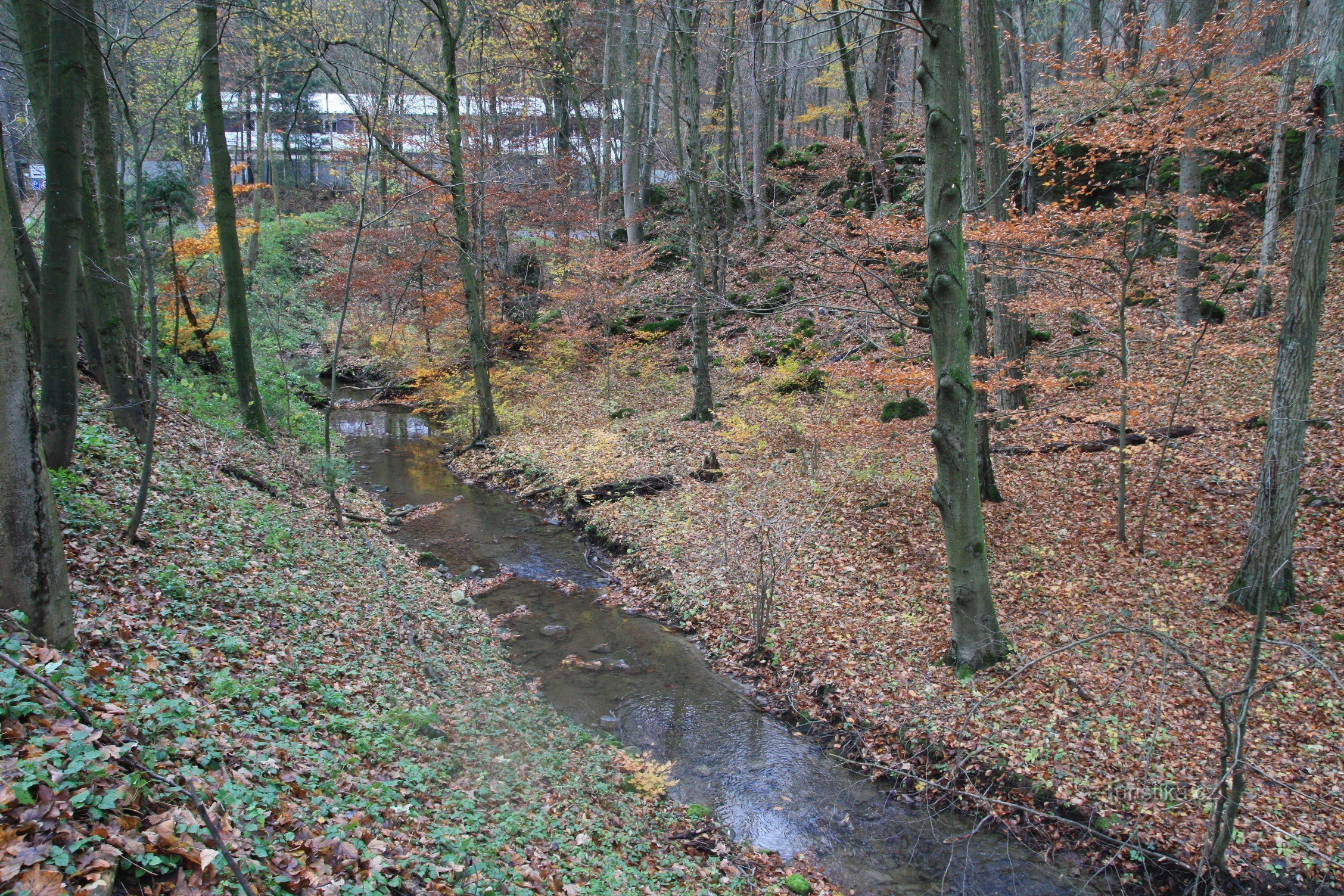 Křtinský potok, i baggrunden driftsbygningen af ​​Výpustek-hulen