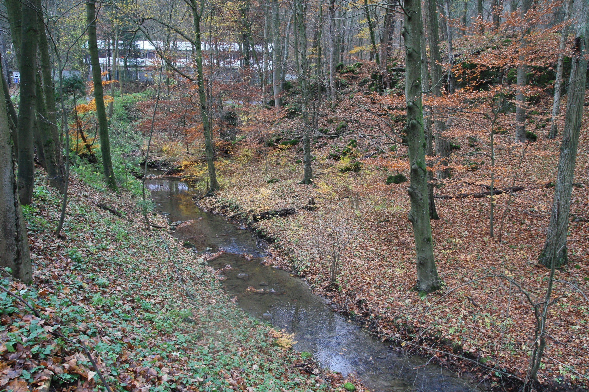 Křtinský potok, im Hintergrund das Betriebsgebäude der Höhle Výpustek