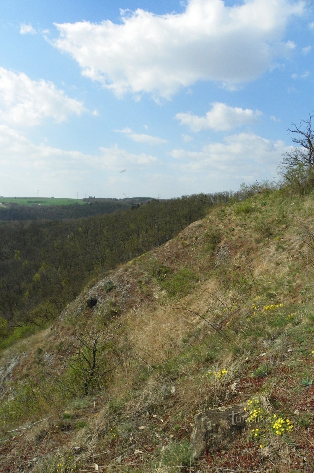 Krumlov-Rokyten conglomerate on Křížák