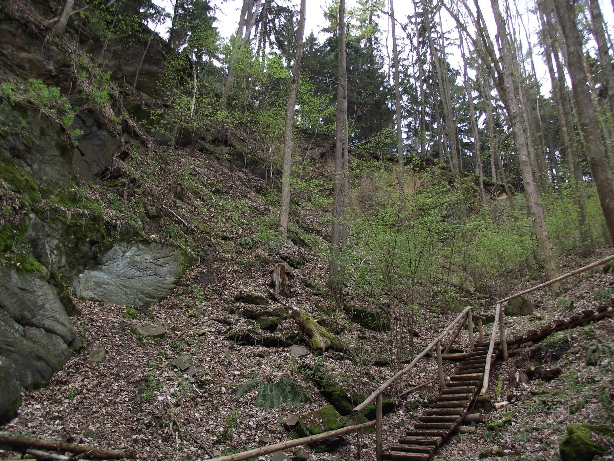 Krupnik-groeve Smrčina