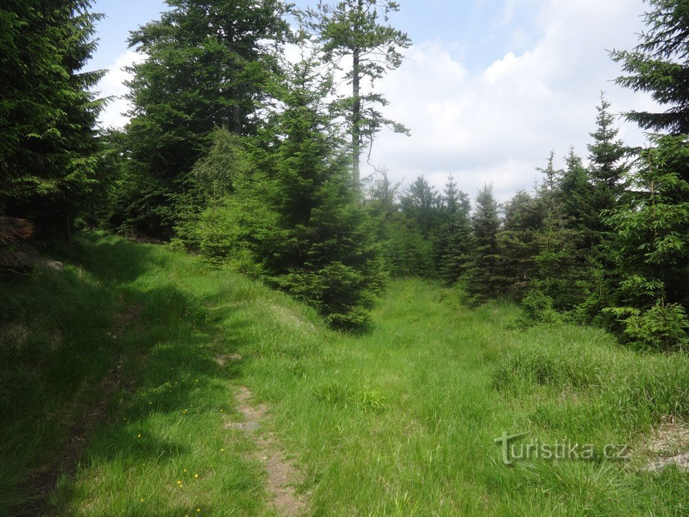 Ertsgebergte – Loučná (1.019 meter boven zeeniveau)