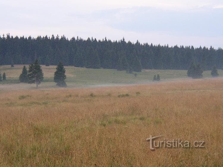 Ertsgebergte: vroege avond op weg van Stříbrná naar Rolava