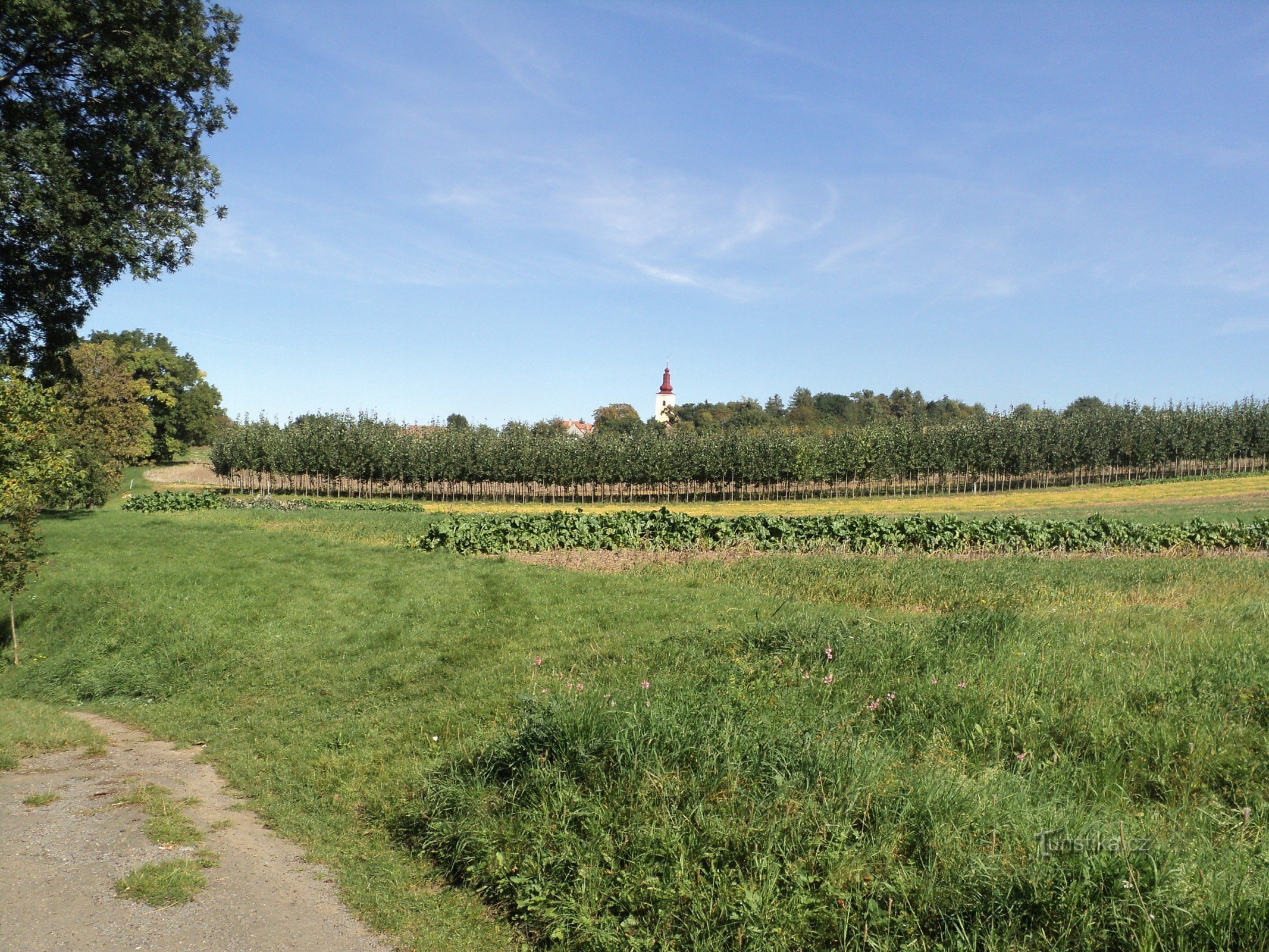 Kučerovské threshing floor