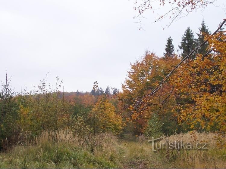 Keuken: Uitzicht op de heuvel