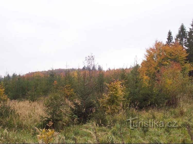 Kuhinja: Pogled na brdo