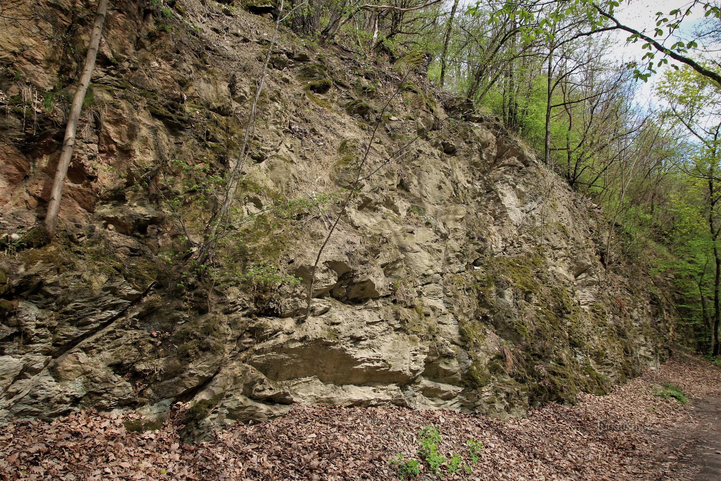 Šupe - spomenik prirode