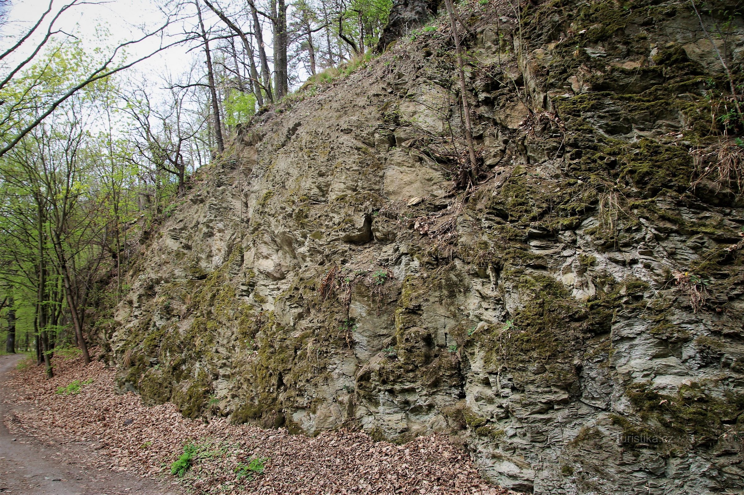 Schuren - een natuurmonument