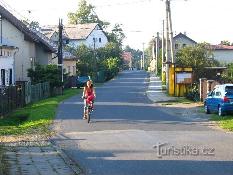 Зайчики возле Башки