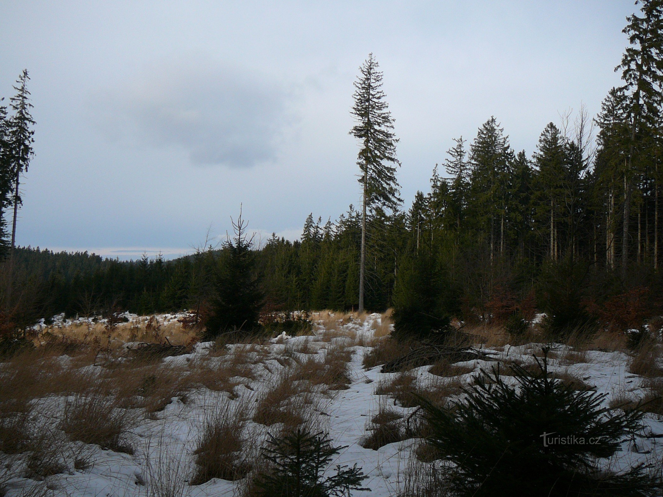 Kunidratky above Němčanka