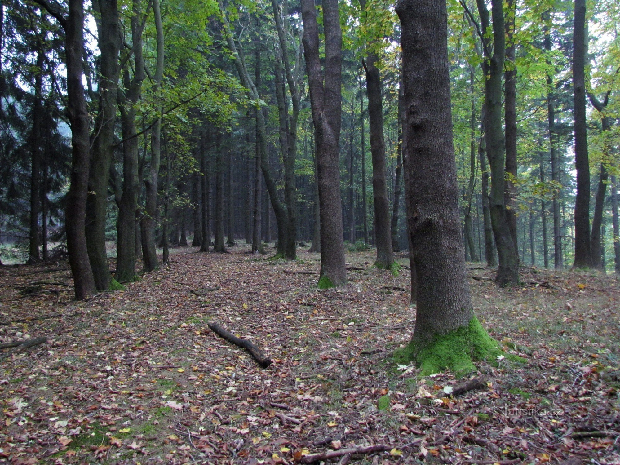 Kuželek - Felsen auf dem Gipfelgrat