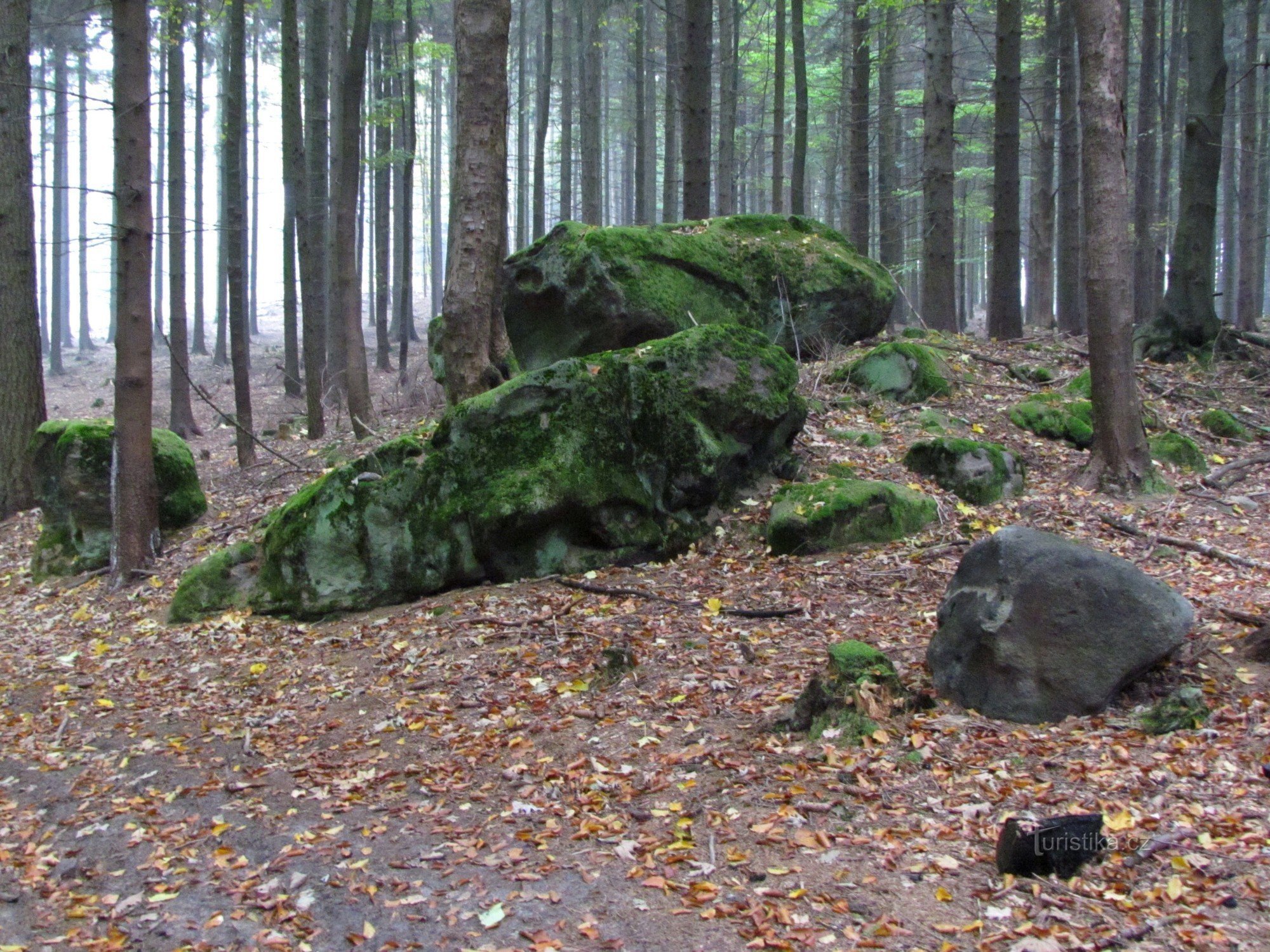 Kuželek - skale na vršnem grebenu