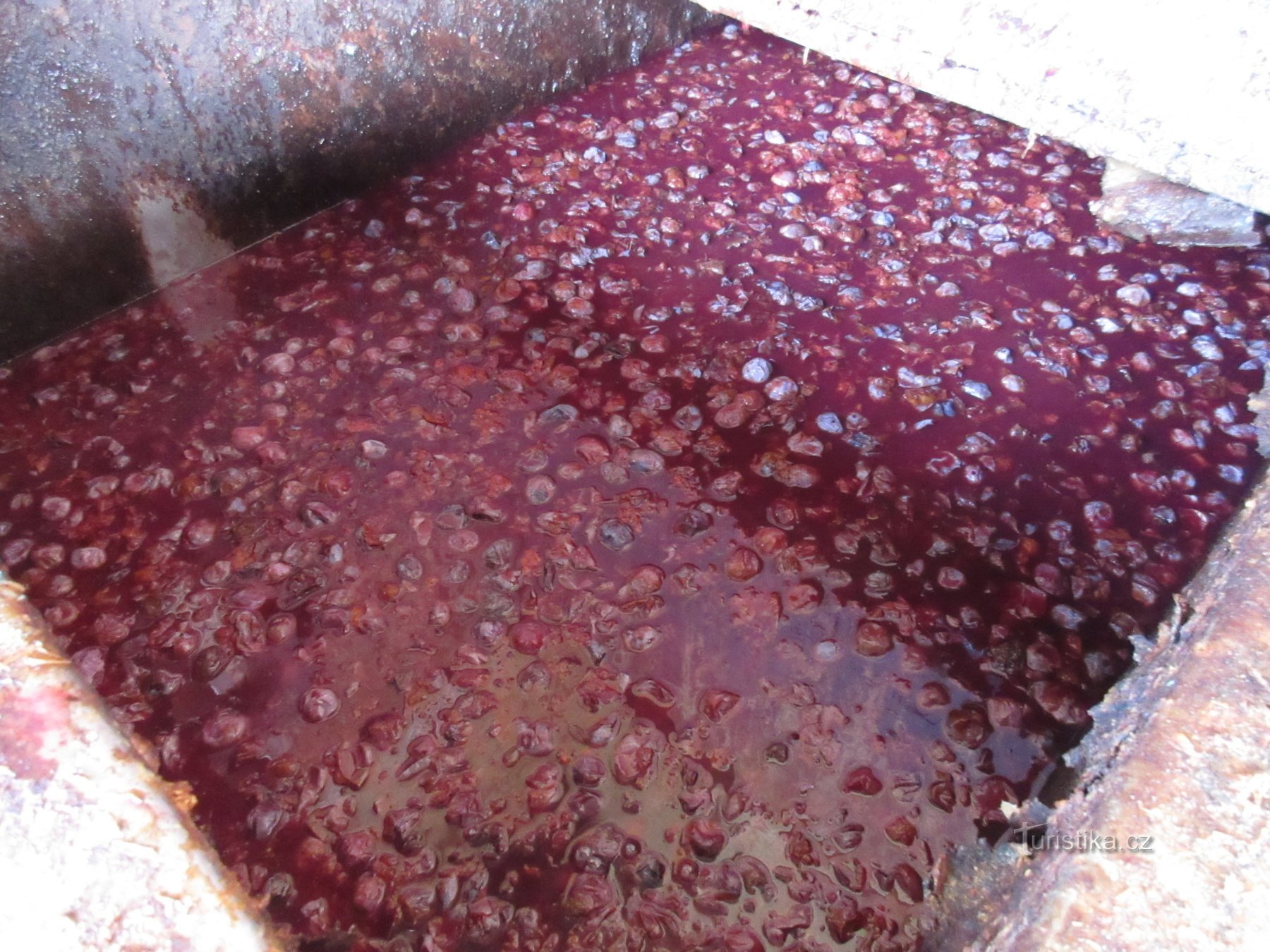 Yeast poured from a keg into an outdoor vat