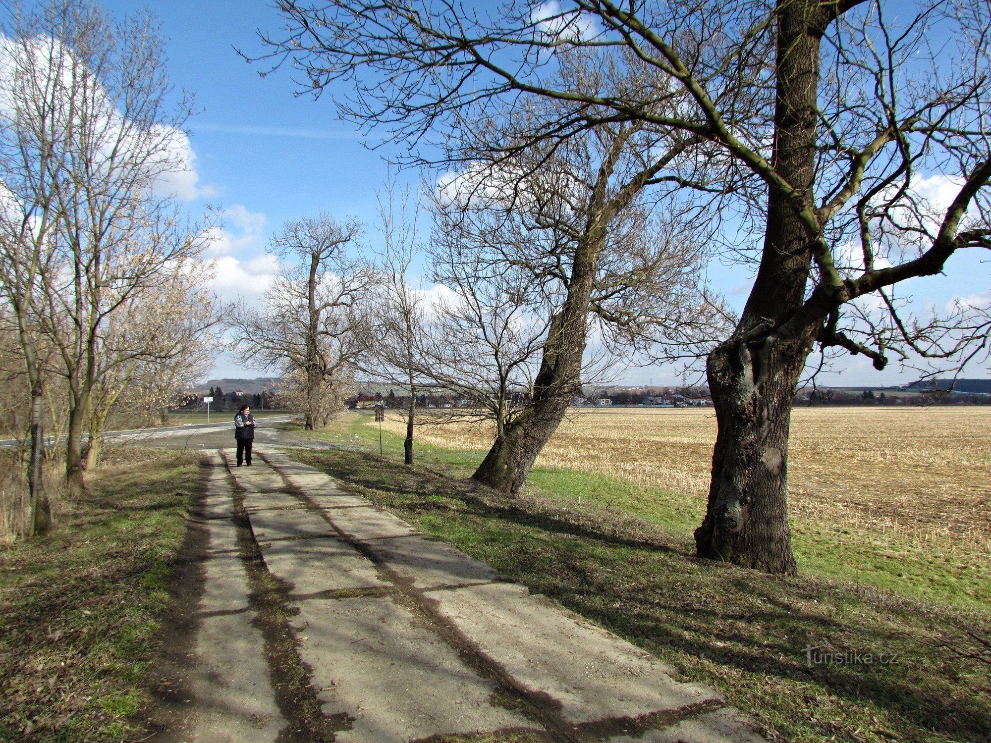 Kvasice - Jasanová alej