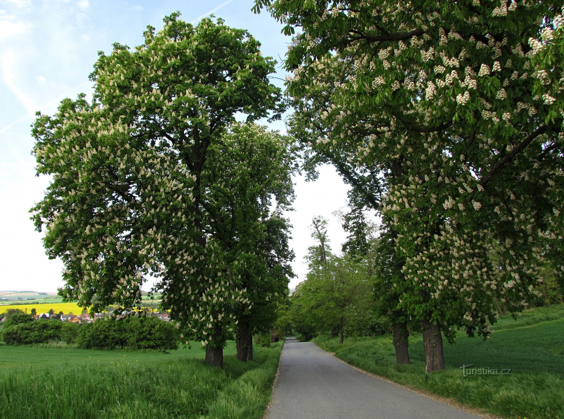 Kvasice - Old Way of the Cross